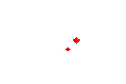 Baron Roofing