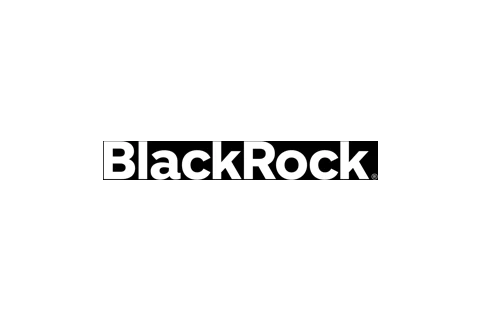 BlackRock Silver