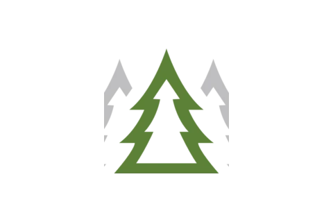 Jack Pines Resort