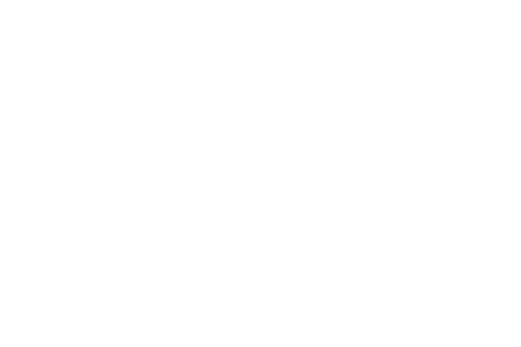 LKQ
