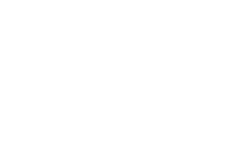 Towmaster Trailers